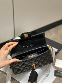 CC 25P Bag
