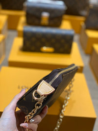 LOU Pochette Accessoires Bag