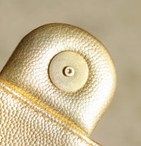 CC Mini 25 Hobo Gold