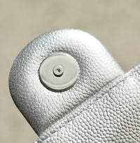 CC Mini 25 Hobo Silver