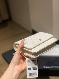 CC Wallet On Chain