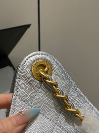 CC 25 Hobo Bag Silver