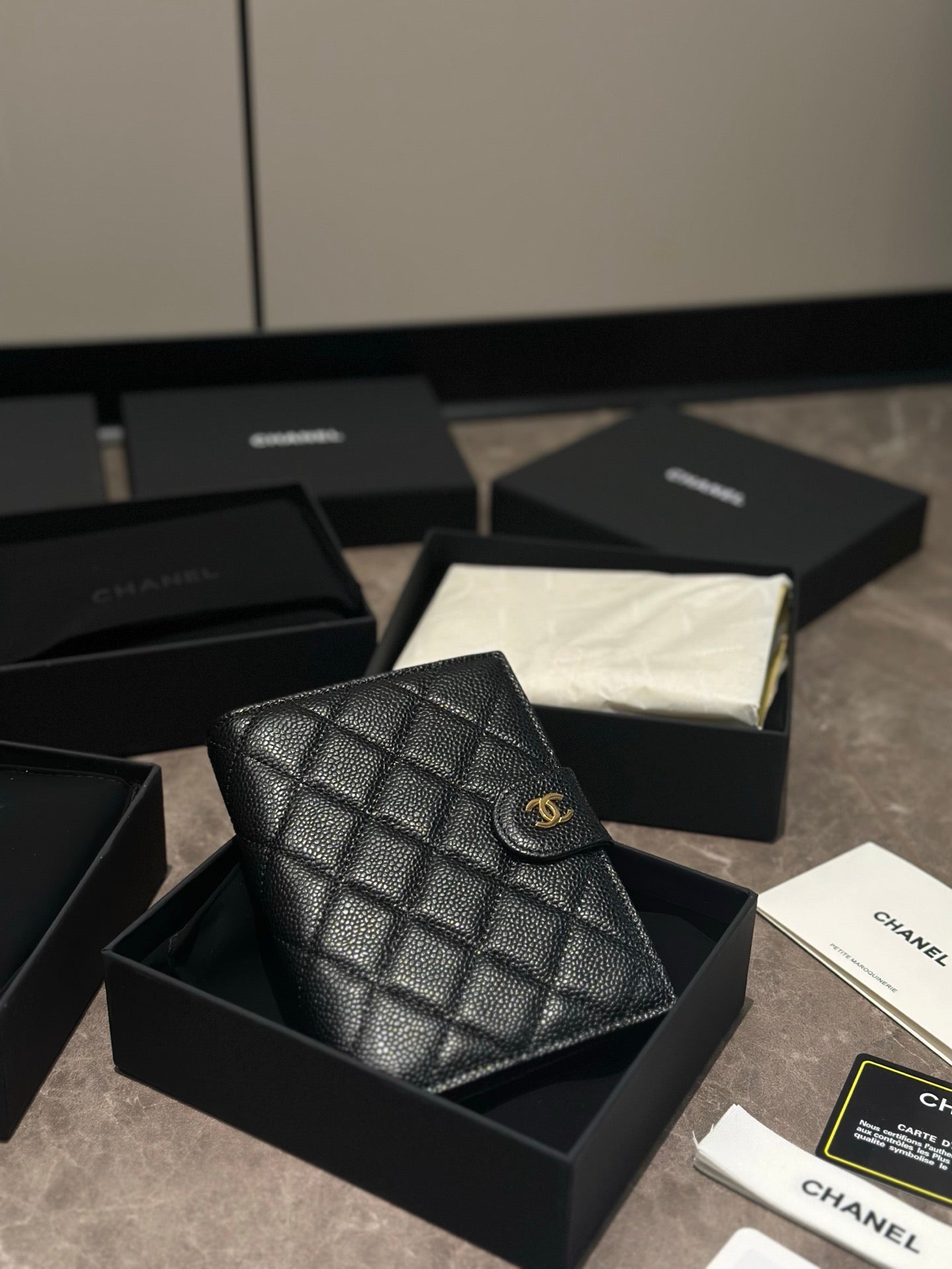 CC Passport Holder