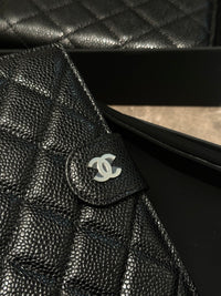 CC Passport Holder