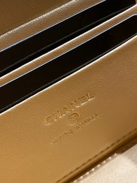 CC Vanity Bag