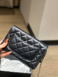CC Wallet On Chain SHW