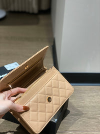 CC Wallet On Chain