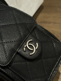 CC 26c Hobo Bag