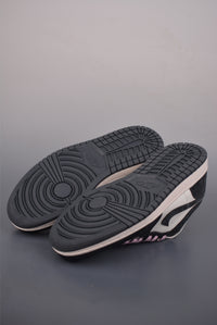 Air Jordon 1 Low SE