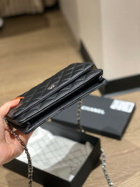 CC Wallet On Chain SHW