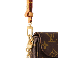 LV Ivy Wallet On Chain Bag