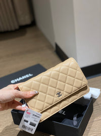 CC Wallet On Chain