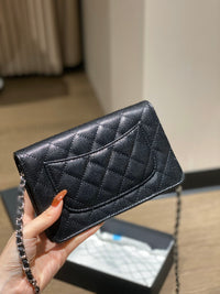 CC Wallet On Chain SHW