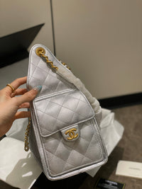 CC 25 Hobo Bag Silver