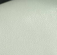 CC Preppy Flap Bag