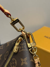 LOU Multipass Bag