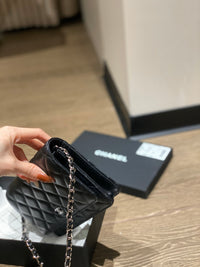 CC Wallet On Chain SHW
