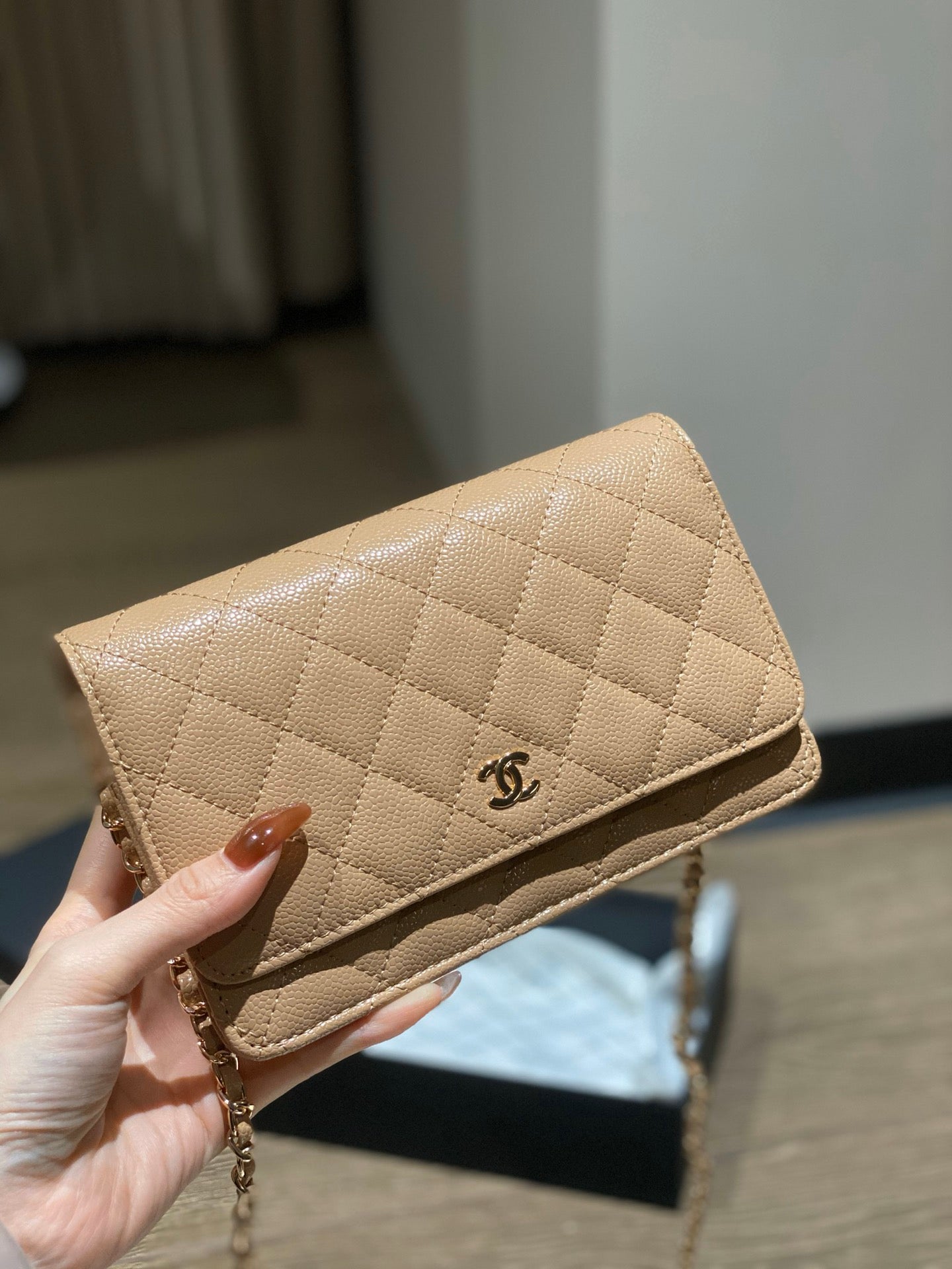 CC Wallet On Chain