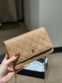 CC Wallet On Chain