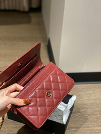 CC Wallet On Chain
