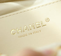 CC 25C Bag