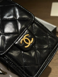 CC 26C Mini Hobo