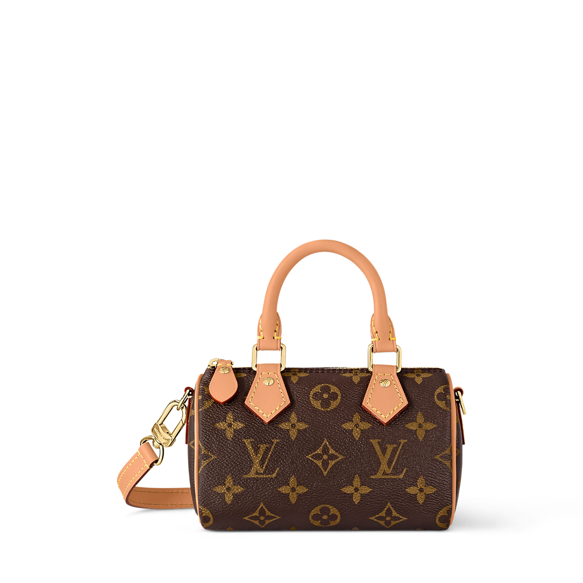 LV Nano Speedy Bag