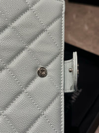 CC Passport Holder