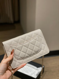 CC Wallet On Chain