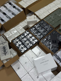 Perfume Collection | New Arrivals