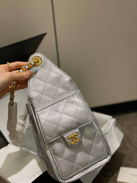 CC 25 Hobo Bag Silver
