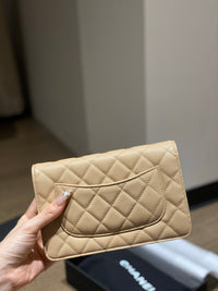 CC Wallet On Chain