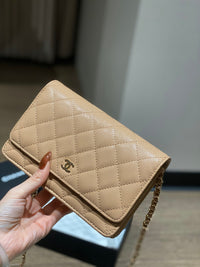 CC Wallet On Chain