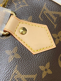 LOU Speedy 20