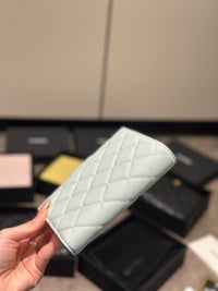 CC Passport Holder