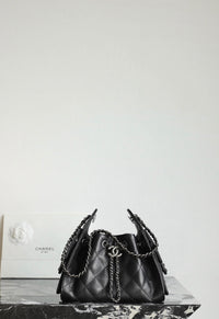 CC Mini 25 Hobo