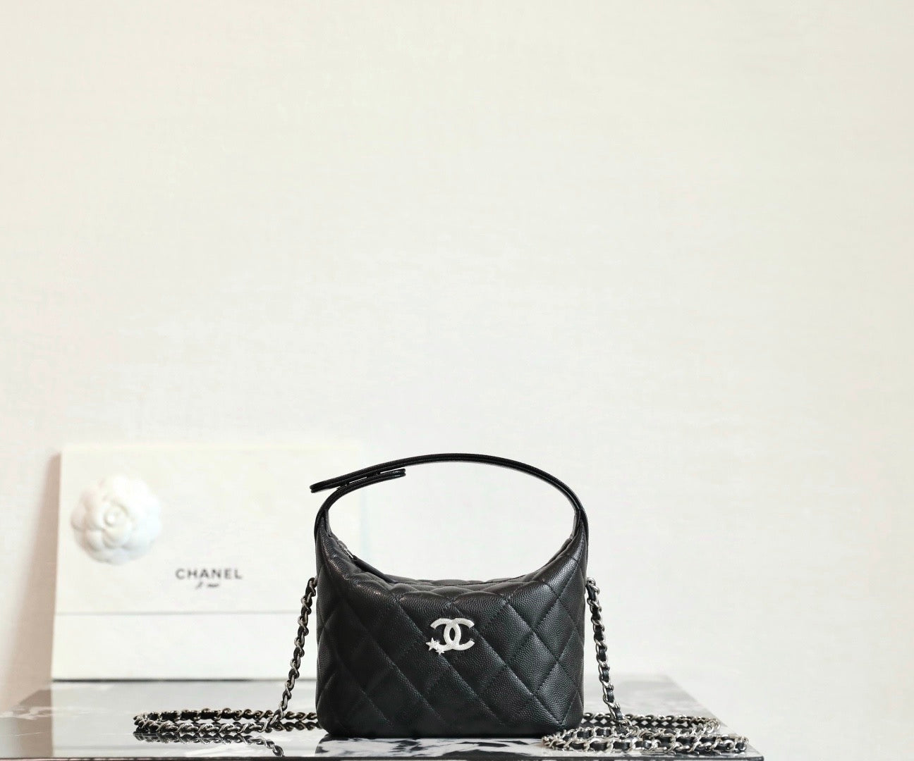 CC 25 Hobo Bag