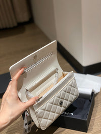 CC Wallet On Chain