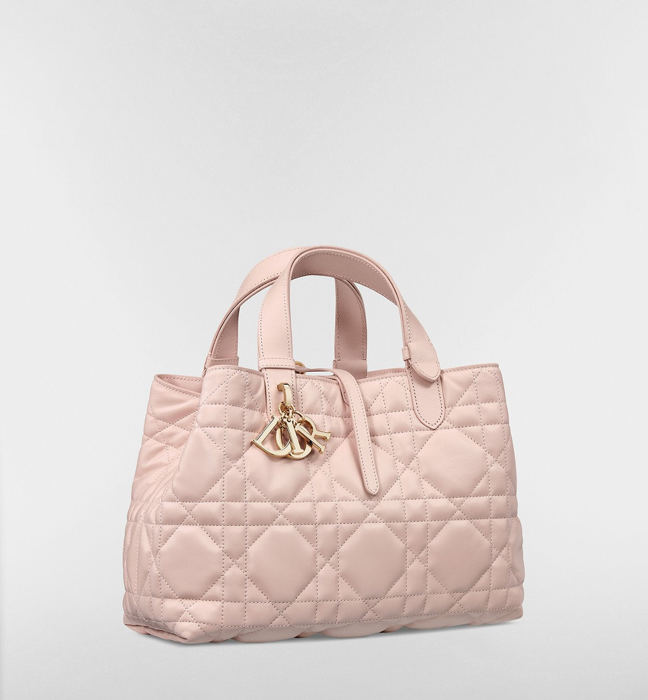 CD Powder Pink Medium Dior Toujours Bag