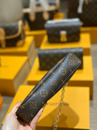LOU Pochette Accessoires Bag