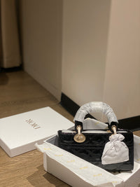 Dior Lady Bag