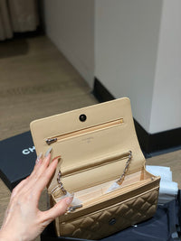 CC Wallet On Chain