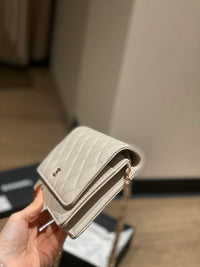 CC Wallet On Chain