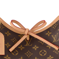 LV CarryAll PM Bag