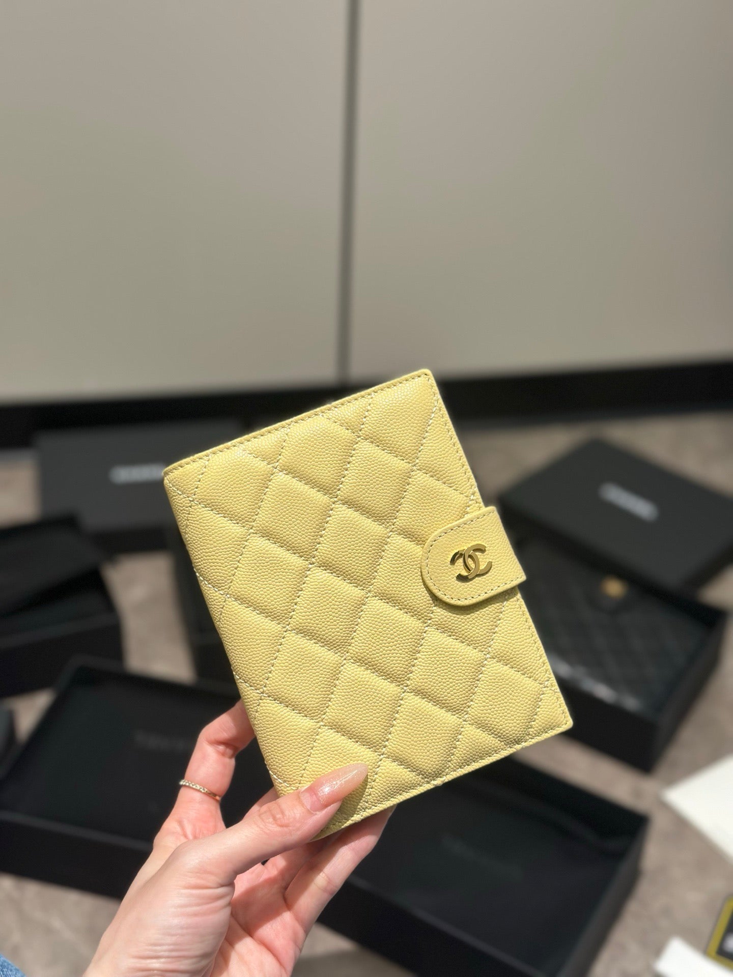 CC Passport Holder